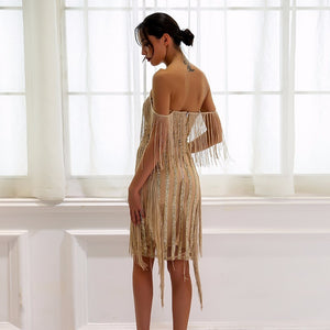 Sexy Lace Embroidery Sequined Fringe Dress