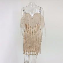 Sexy Lace Embroidery Sequined Fringe Dress