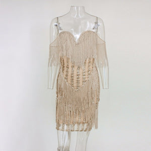 Sexy Lace Embroidery Sequined Fringe Dress