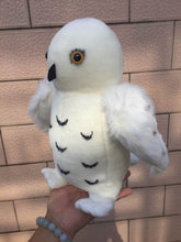 Harry Potter's Owl, Hedwig Soft Plush Toy